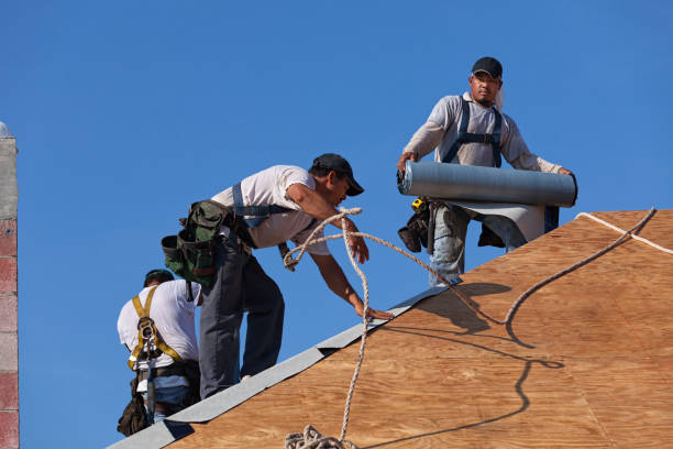 Best Roof Repair Services  in Richmond Heights, OH